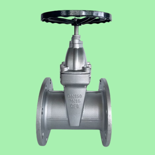 Stainless steel soft seal gate valve